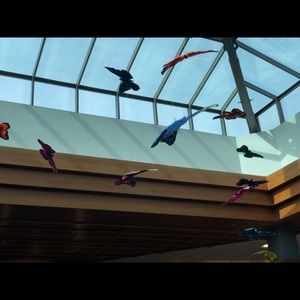 Meet your Posher, Krishna